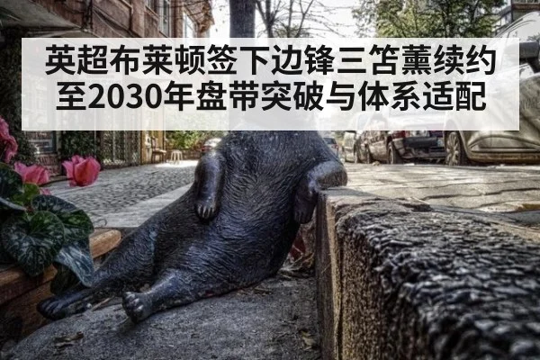 英超布莱顿签下边锋三笘薰续约至2030年盘带突破与体系适配